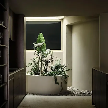 Semesteranläggning (resort) Andronis Concept Wellness 5*